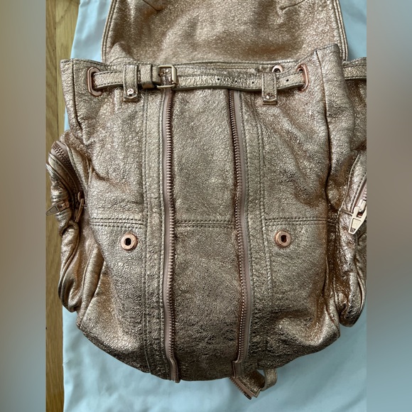 Authentic Alexander Wang Marti backpack - Picture 3 of 10